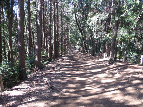 20160226hike (54)